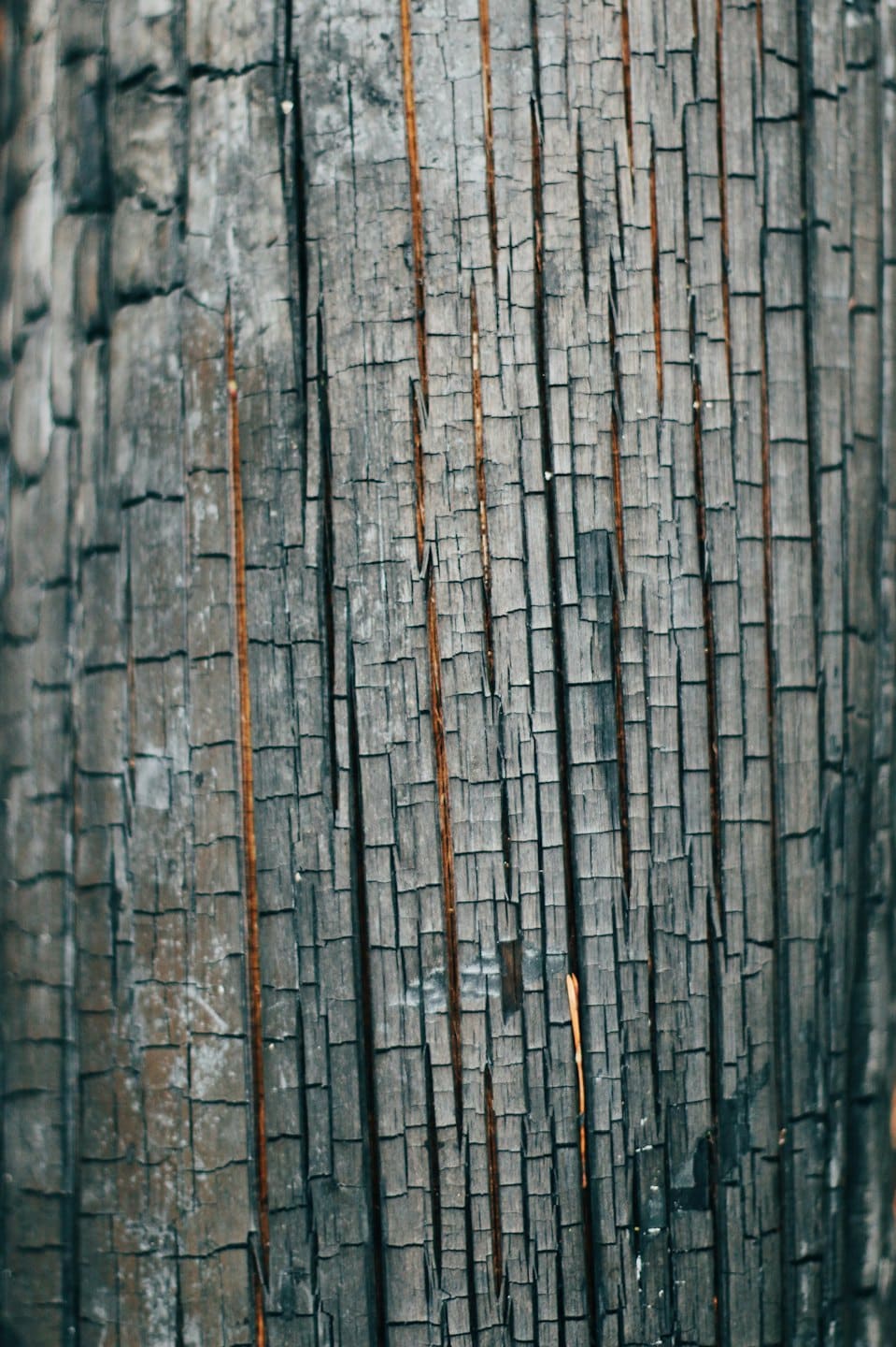 Texture ravvicinata di legno profondamente carbonizzato con crepe verticali.